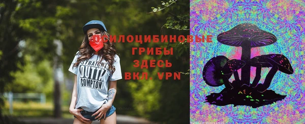 стаф Алексин