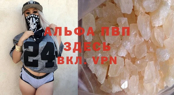 стаф Алексин