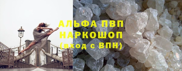 стаф Алексин