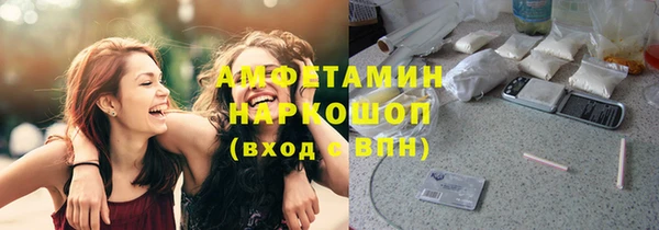 стаф Алексин