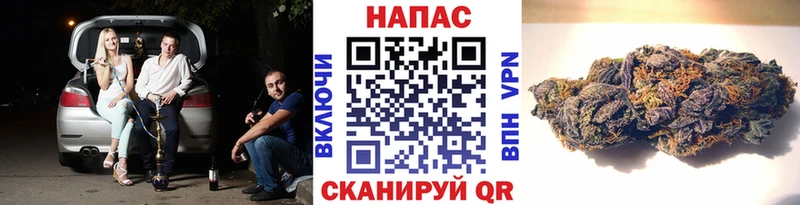 Конопля гибрид Оханск